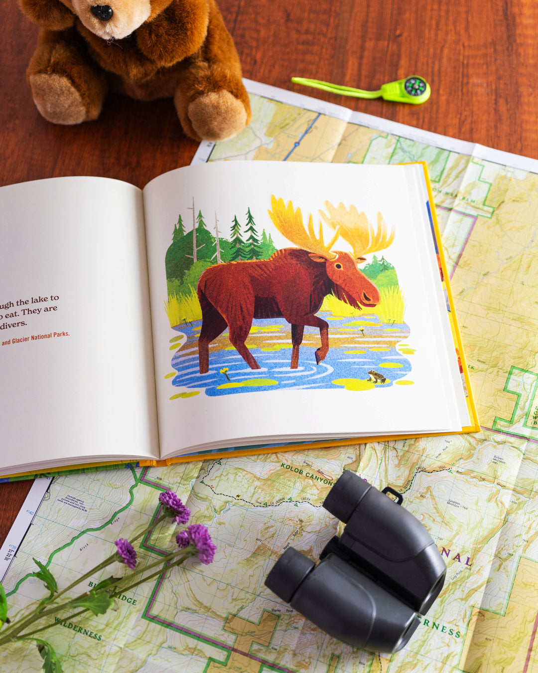 Animals of The National Parks Book by Fifty-Nine Parks