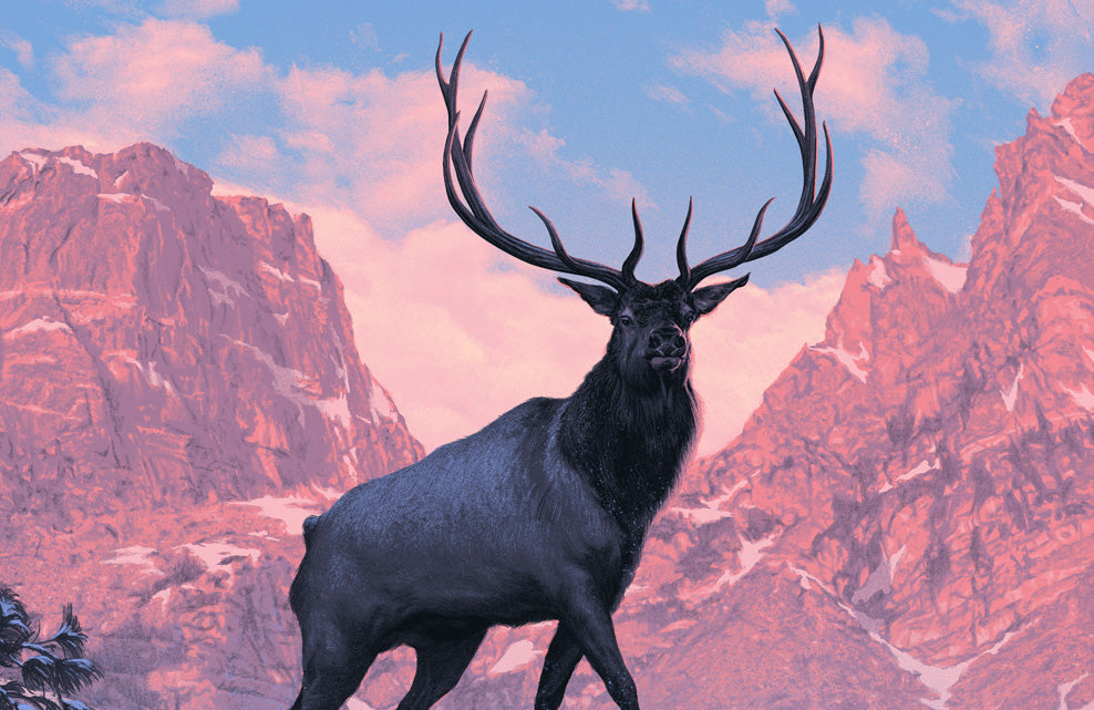 Rocky Mountain National Park Poster (Variant)